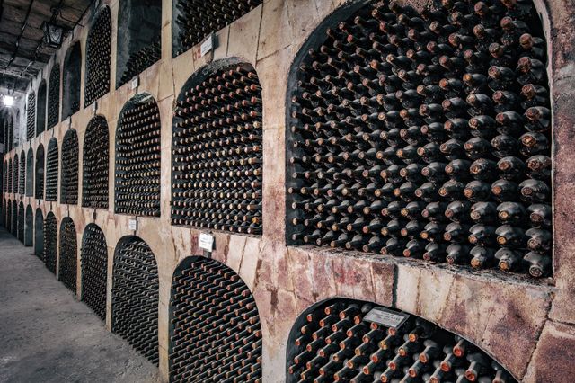Final crocodile bust Largest wine cellar by number of bottles: world record set by The Milestii  Mici Winery