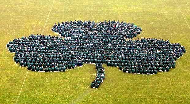  Largest human shamrock: Dublin schoolboys broke Guinness world record
  