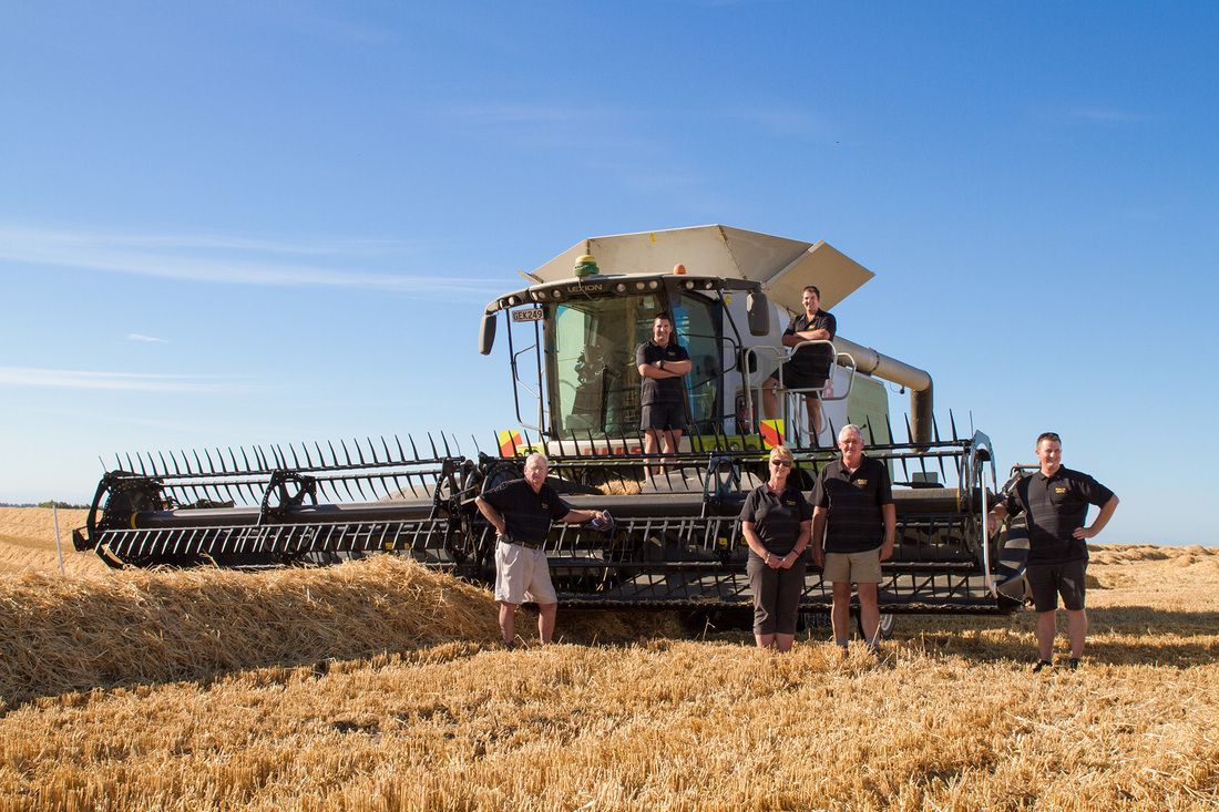 Highest barley yield: Timaru farmer sets world record (VIDEO) 