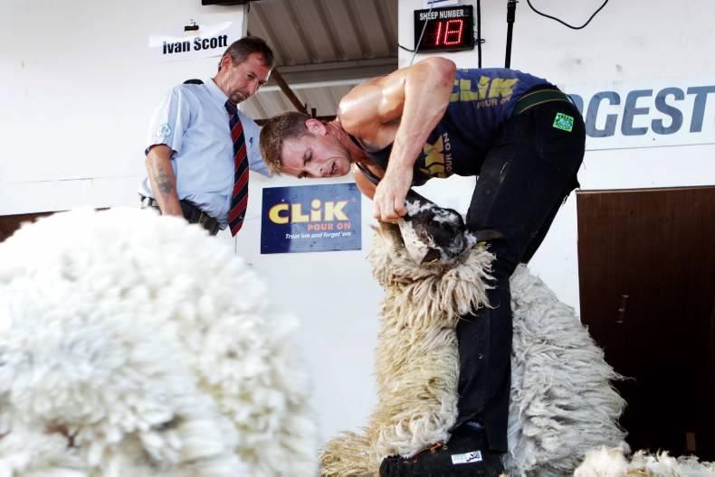 Most sheep sheared in nine hours: Ivan Scott breaks Guinness World Records record (VIDEO)