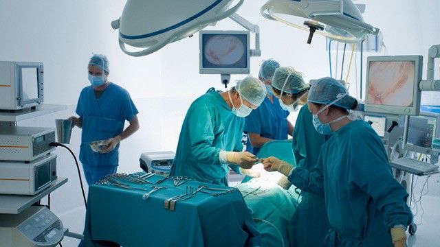 First person in the world to have a kidney transplanted in place of her spleen: Italian girl sets world record 