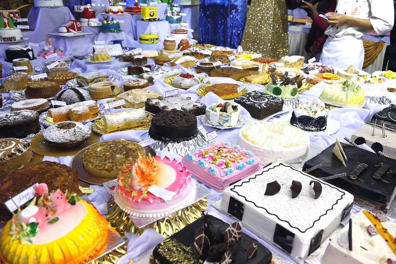 Most different cakes displayed: Culinary Academy Of India sets world record