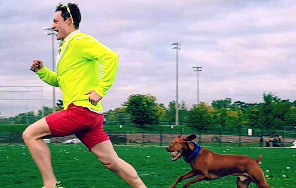  Fastest 5K With a Dog: world record set by Jessey The Elf (VIDEO)