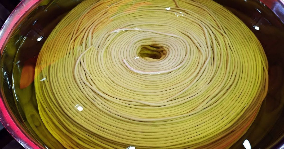 Longest noodle: world record set by China (VIDEO) 