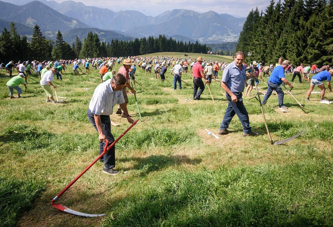 Most people scything in one place: world record set in Slovenia