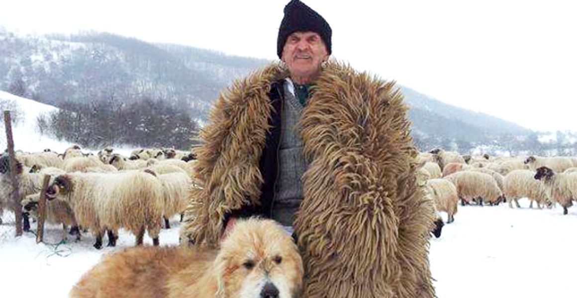 World's longest career as a shepherd, world record set by Ştefan Gros