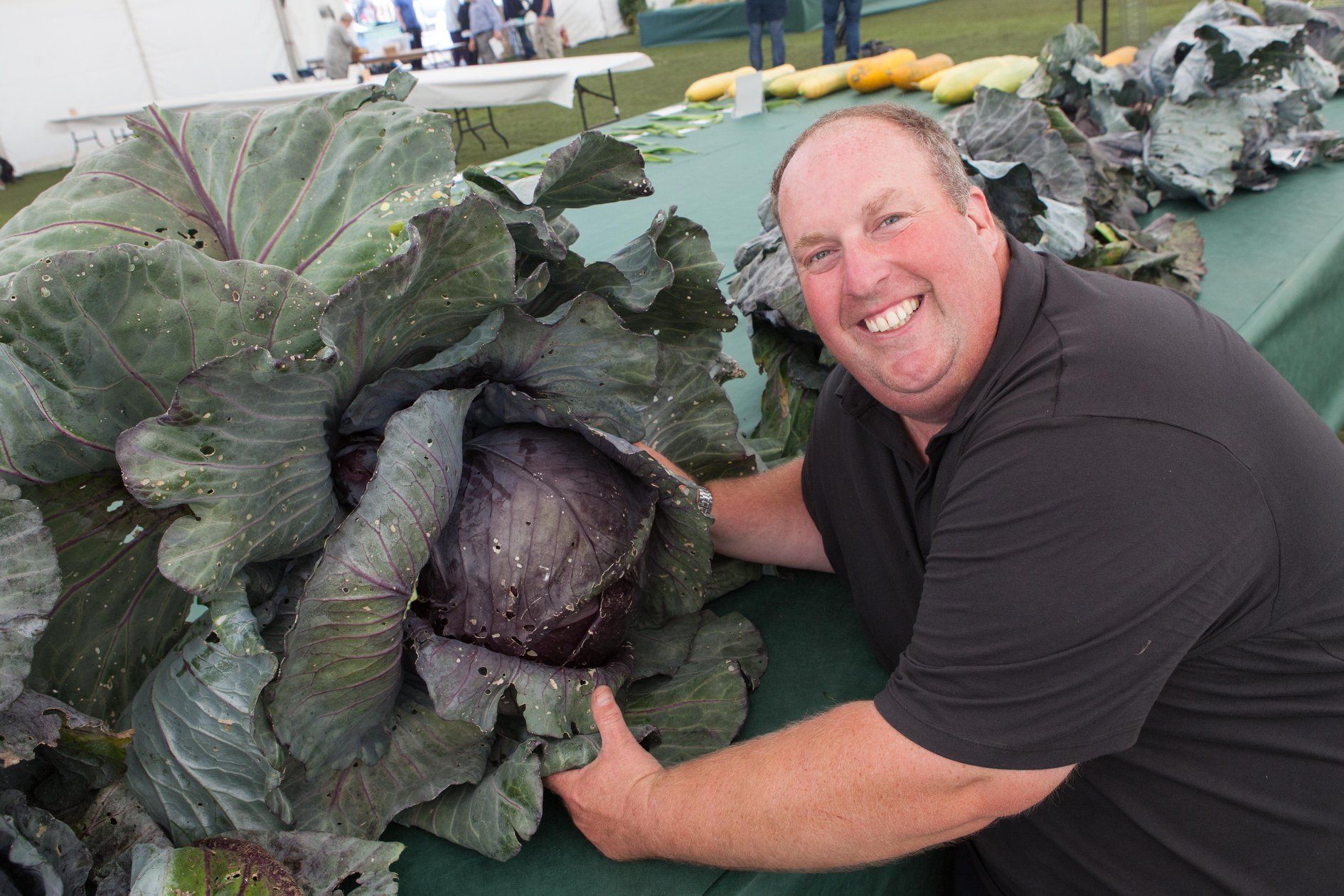 Heaviest red cabbage world record: Tim Saint