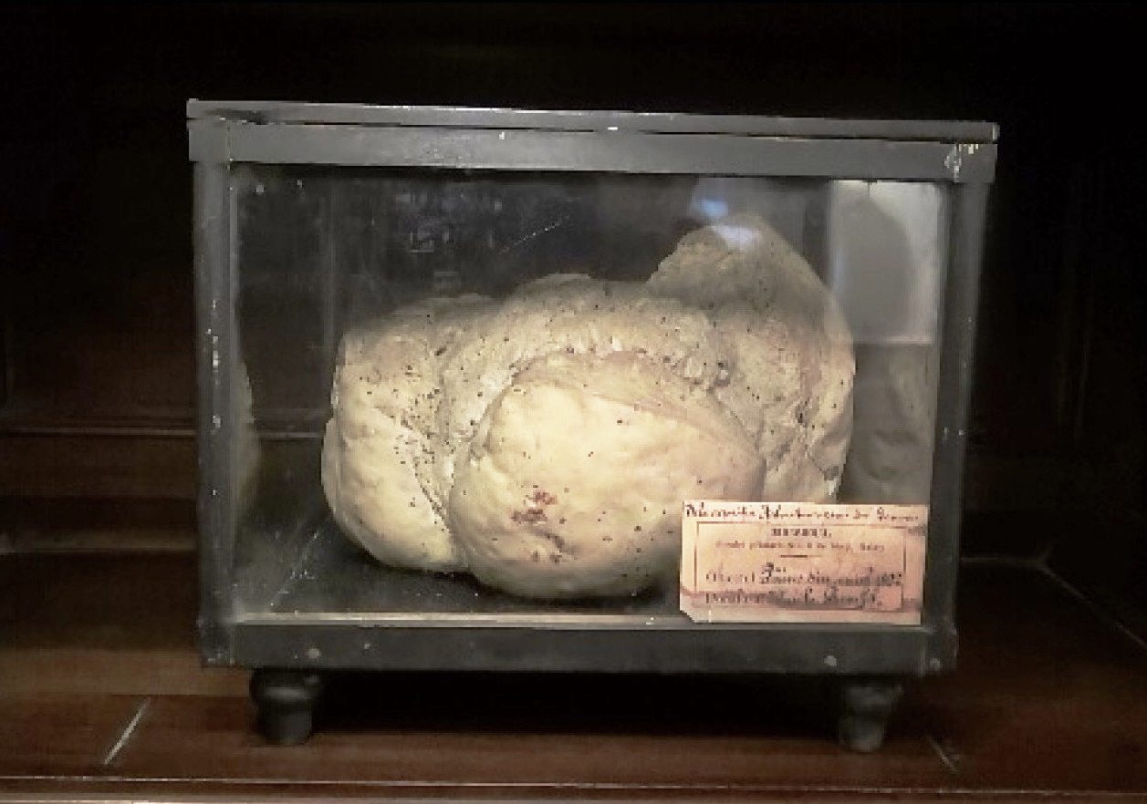 Oldest Bread: Galati History Museum