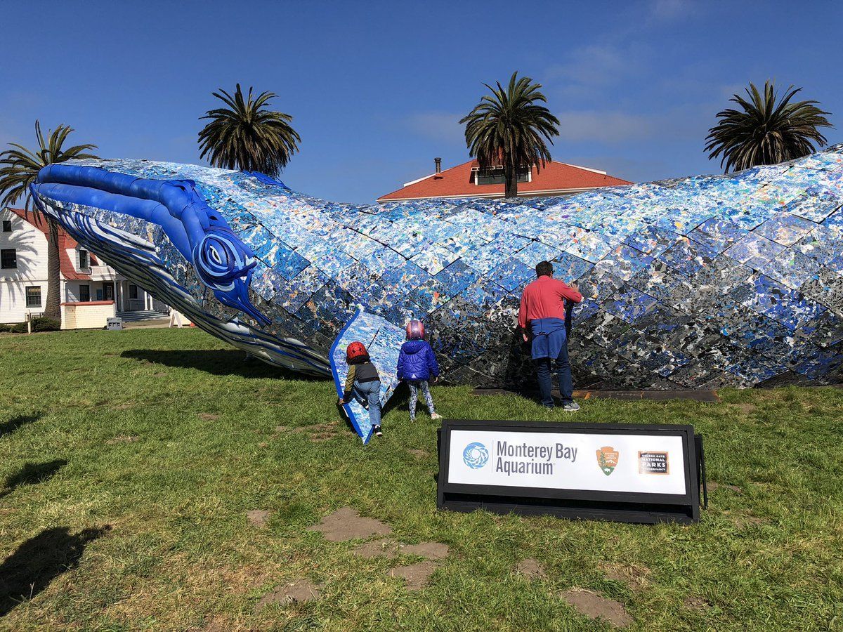  A life-size whale sculpture, located at the Monterey Bay Aquarium in San Francisco, was made to highlight the issue of ocean pollution and the amount of  plastic that gets dumped into the sea, is made up of recycled materials  such as plastic bottles, re-used toys and milk jugs;  it has measurements of 84 feet, 11.6 inches long; 26 feet, 5.8  inches wide and reaches a height of 13 feet, 9.6 inches tall, setting the world record for the Largest Recycled Plastic Sculpture (Supported).