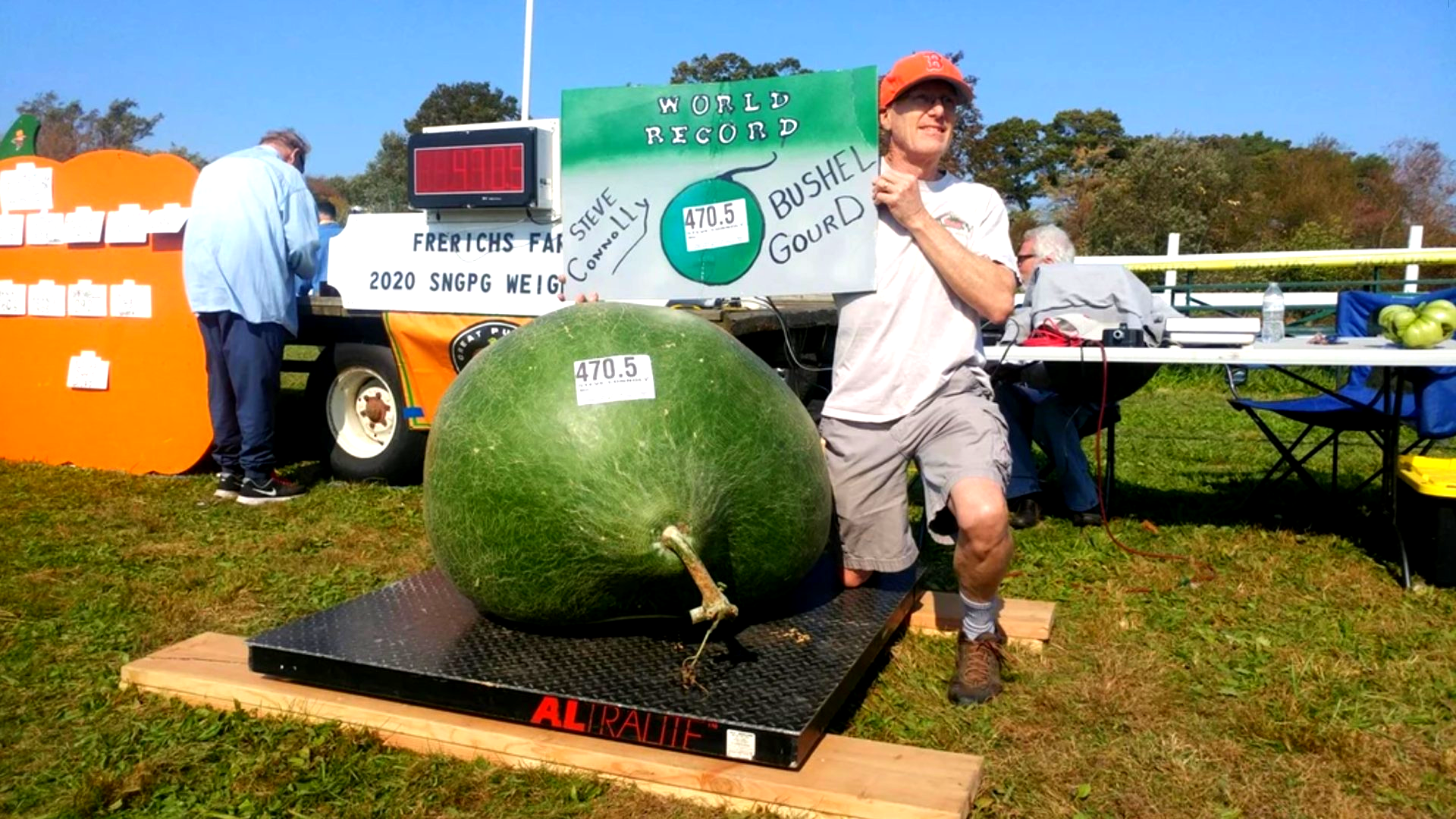Heaviest gourd: world record set by Steve Connolly