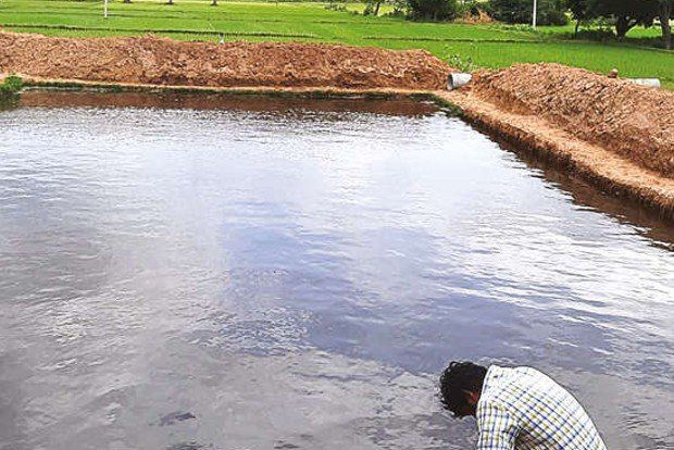 Most farm ponds built in 30 days: India sets world record