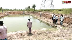 
Most farm ponds built in 30 days: India sets world record
