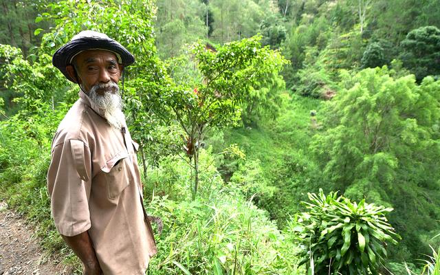 
Most trees planted in 25 years by an individual: Pak Sadiman sets world record