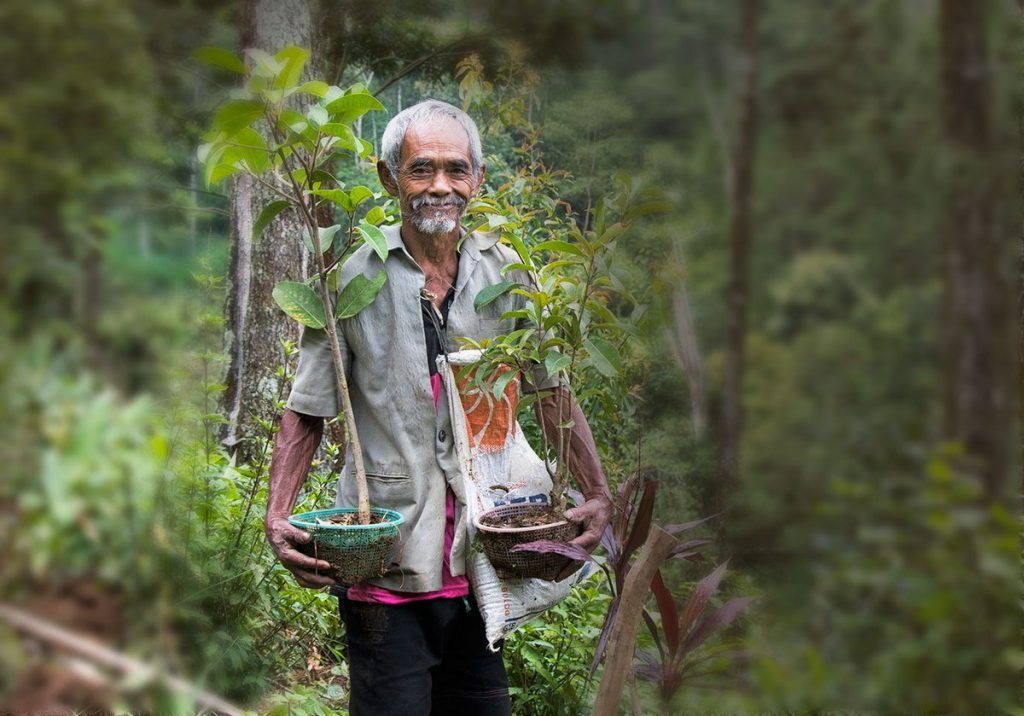 Most trees planted in 25 years by an individual: Indonesian eco-warrior Pak Sadiman sets world record