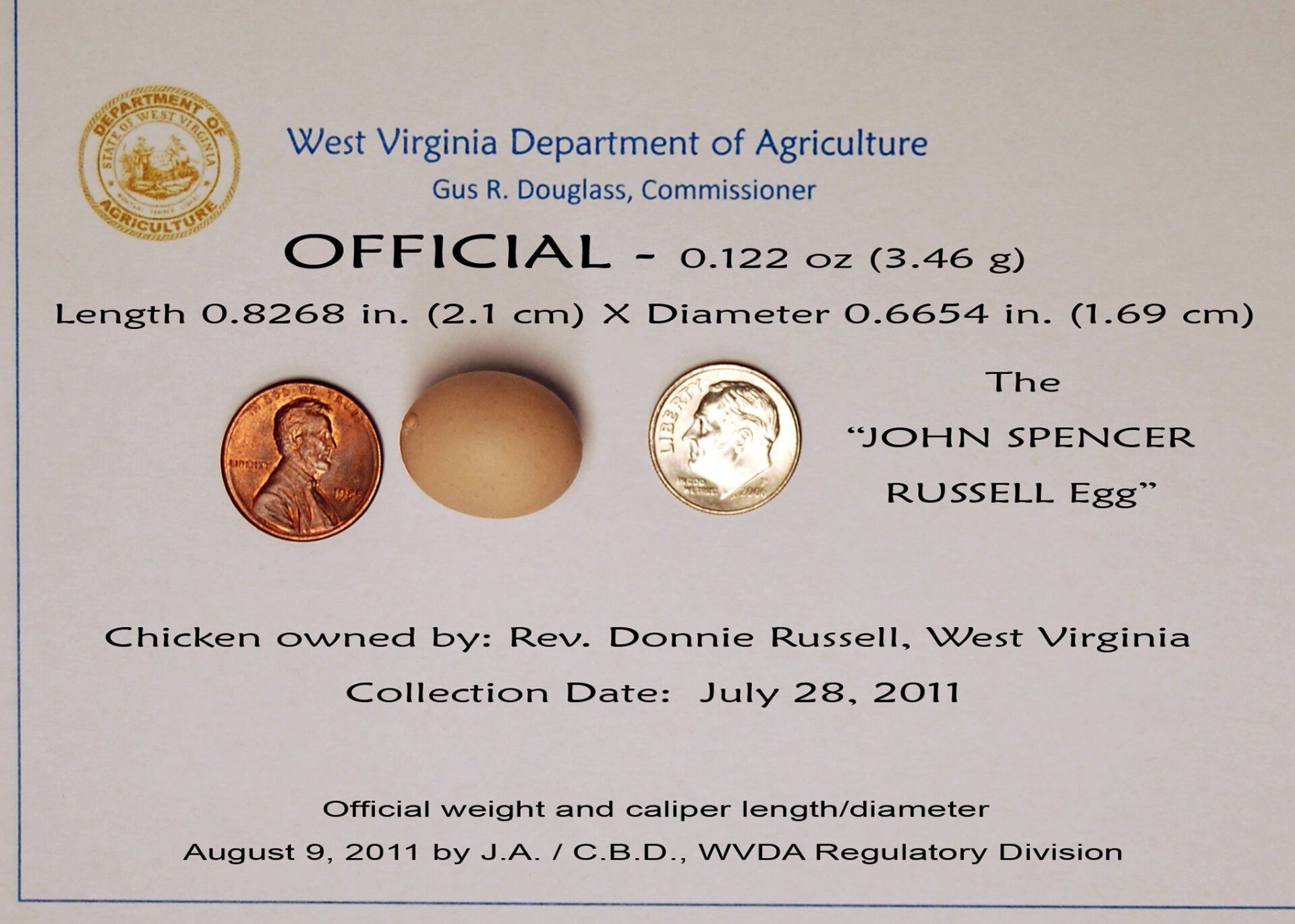 Smallest Chicken Egg: John Spencer Russell Egg sets world record 