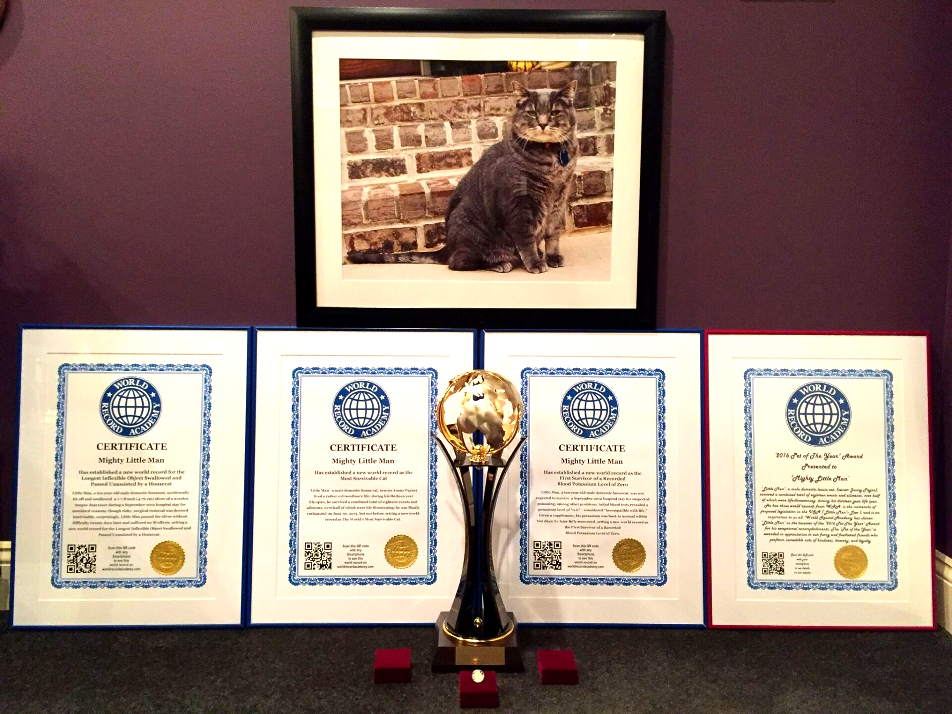 'Mighty Little Man' receives '2016 Pet of the Year' Award from World Record Academy (VIDEO)