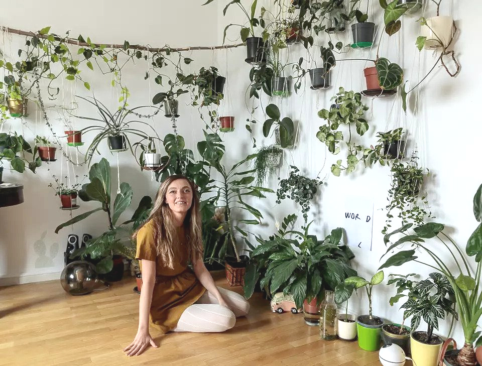 Most indoor hanging plants in an-apartment, world record in Bucharest, Romania Most indoor hanging plants in an-apartment, world record in Bucharest, Romania