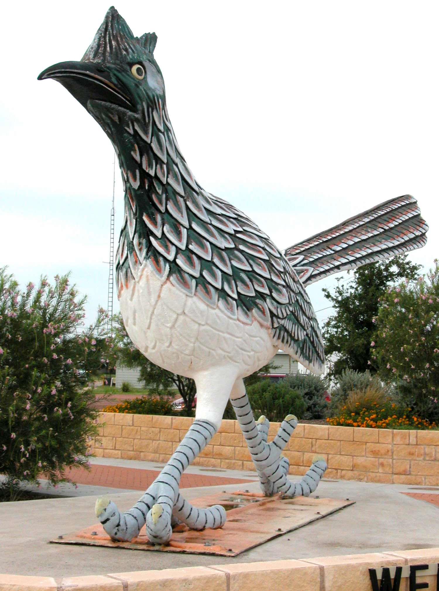 World's largest roadrunner: Paisano Pete in Fort Stockton, Texas, sets world record