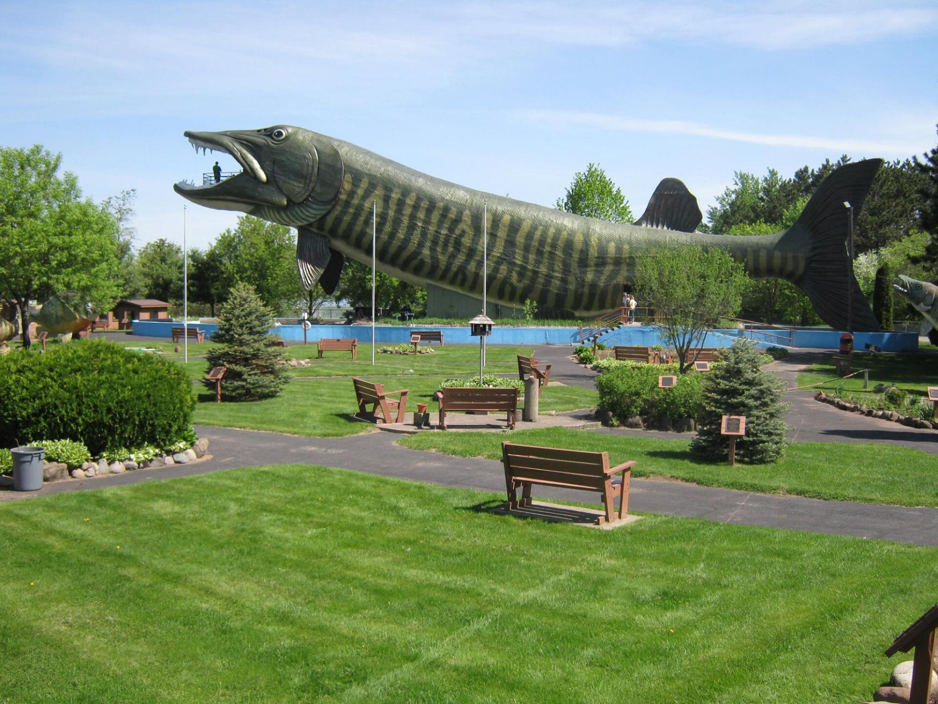 World’s Largest Muskie Sculpture: world record set in Hayward, Wisconsin