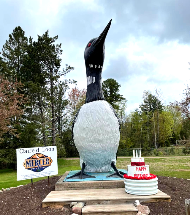 Ancien écusson Thermocollant USA - Love A Loon Wisconsin - Cash's USA