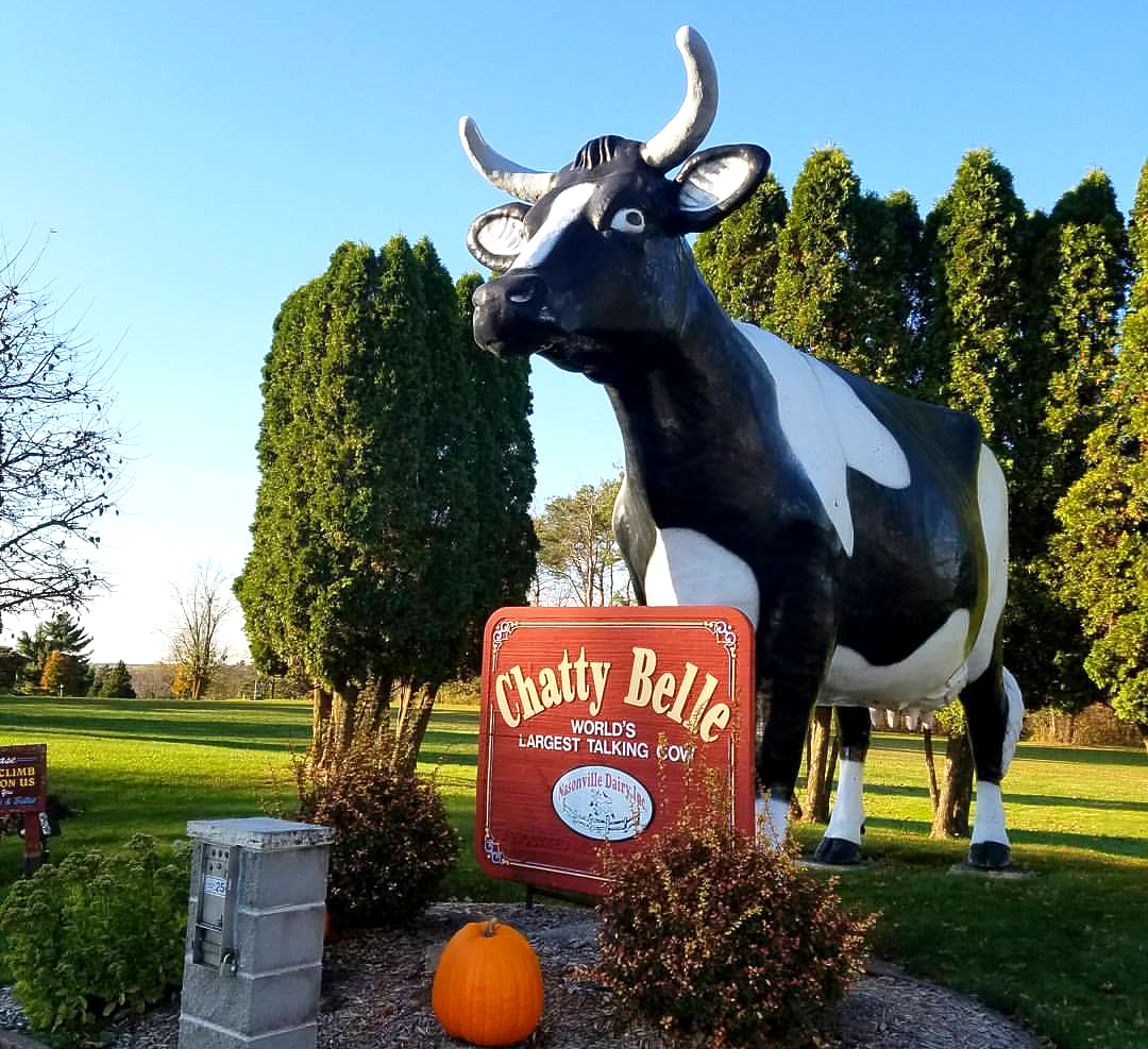 World's Largest Talking Cow: world record set in  Neillsville, Wisconsin