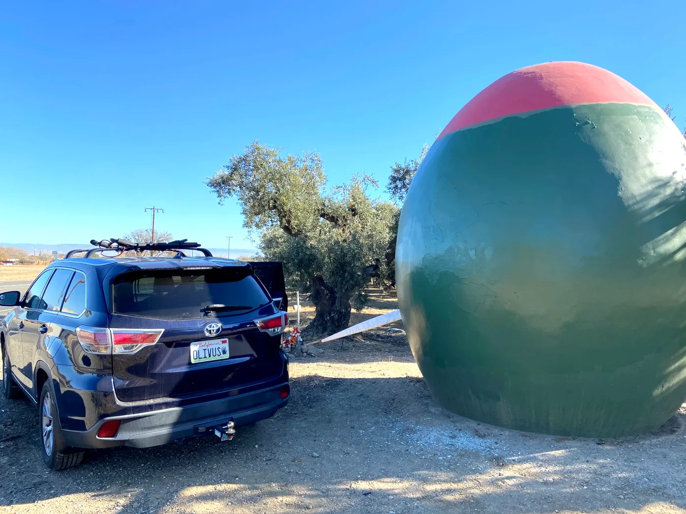 World's largest green olive: world record set in Corning, California