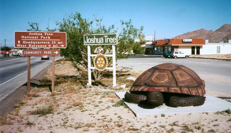 World's Largest Desert Tortoise Sculpture: world record set in Joshua Tree, California