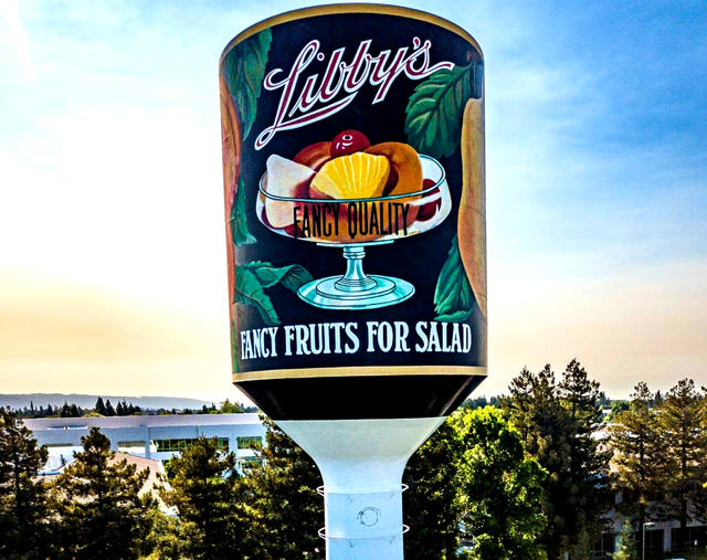 World's Largest Can of Fruit Cocktail Sculpture: world record set