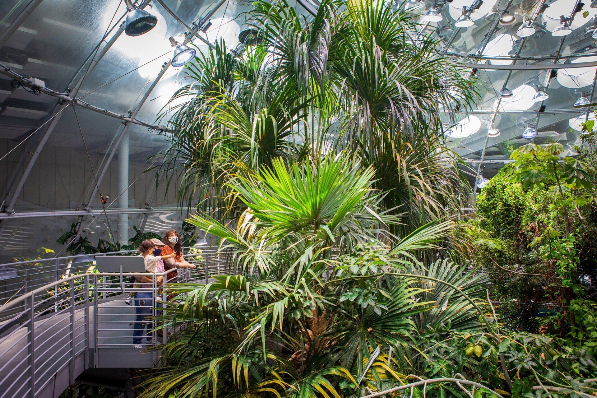 World’s Largest Indoor Living Rain Forest: world record set in San Francisco, California