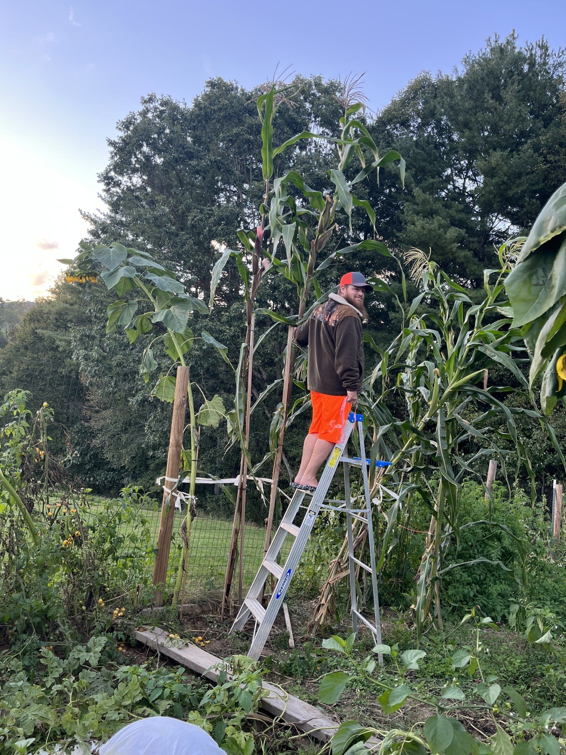 Most varieties of Giant fruits and vegetables grown: world record in Jumping Branch, West Virginia