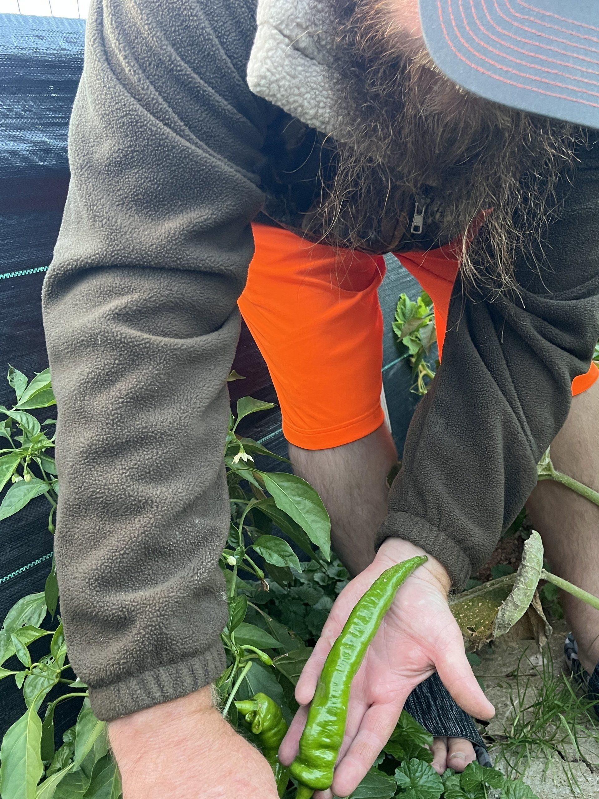 Most varieties of Giant fruits and vegetables grown: world record in Jumping Branch, West Virginia