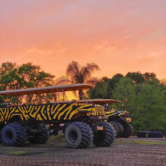 Monster Truck through the Orange Groves from Orlando 2024