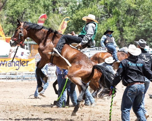 One of the Oldest Rodeos in America Is in New Jersey - The New