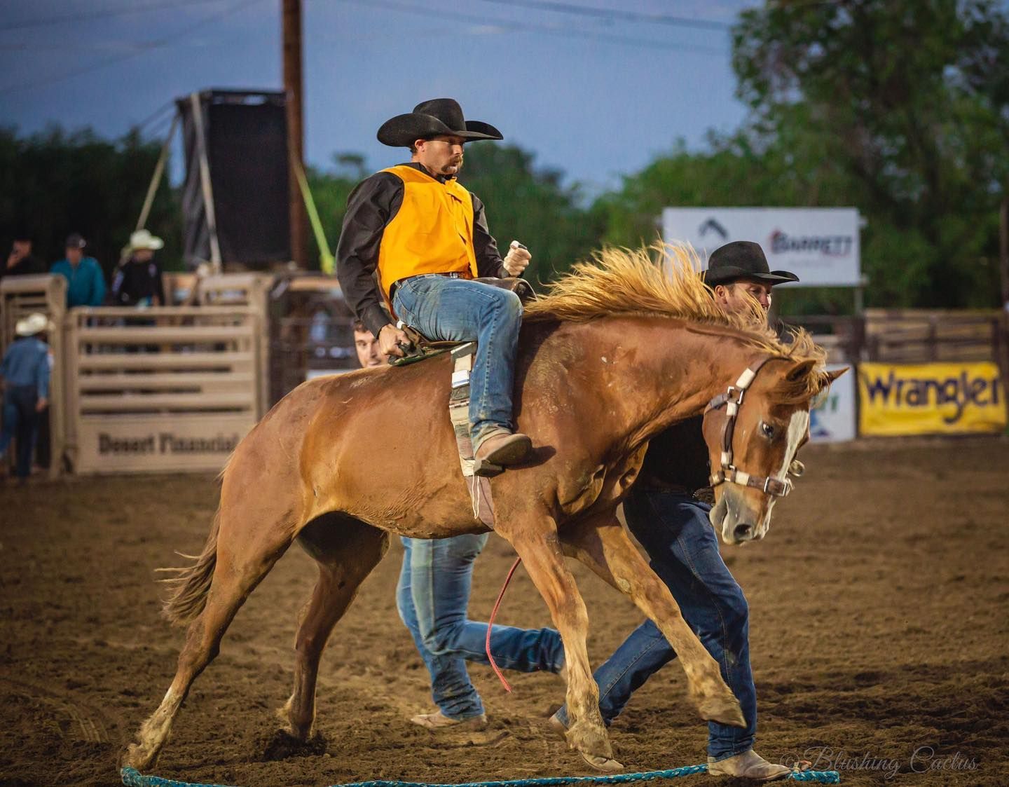 World's Oldest Rodeo: world record in Prescott, Arizona