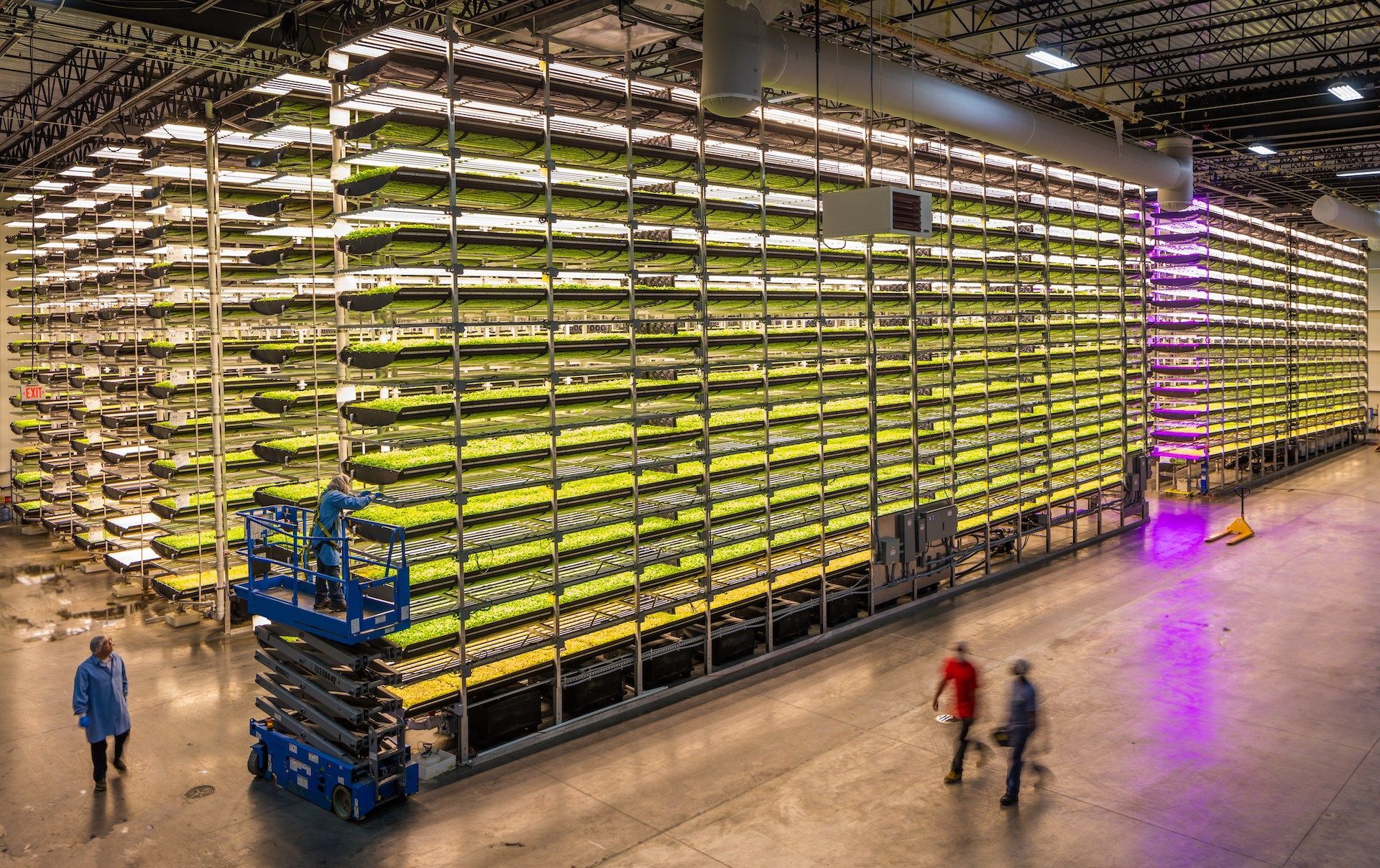 World's Largest Indoor Vertical Farm: world record in Newark, New Jersey