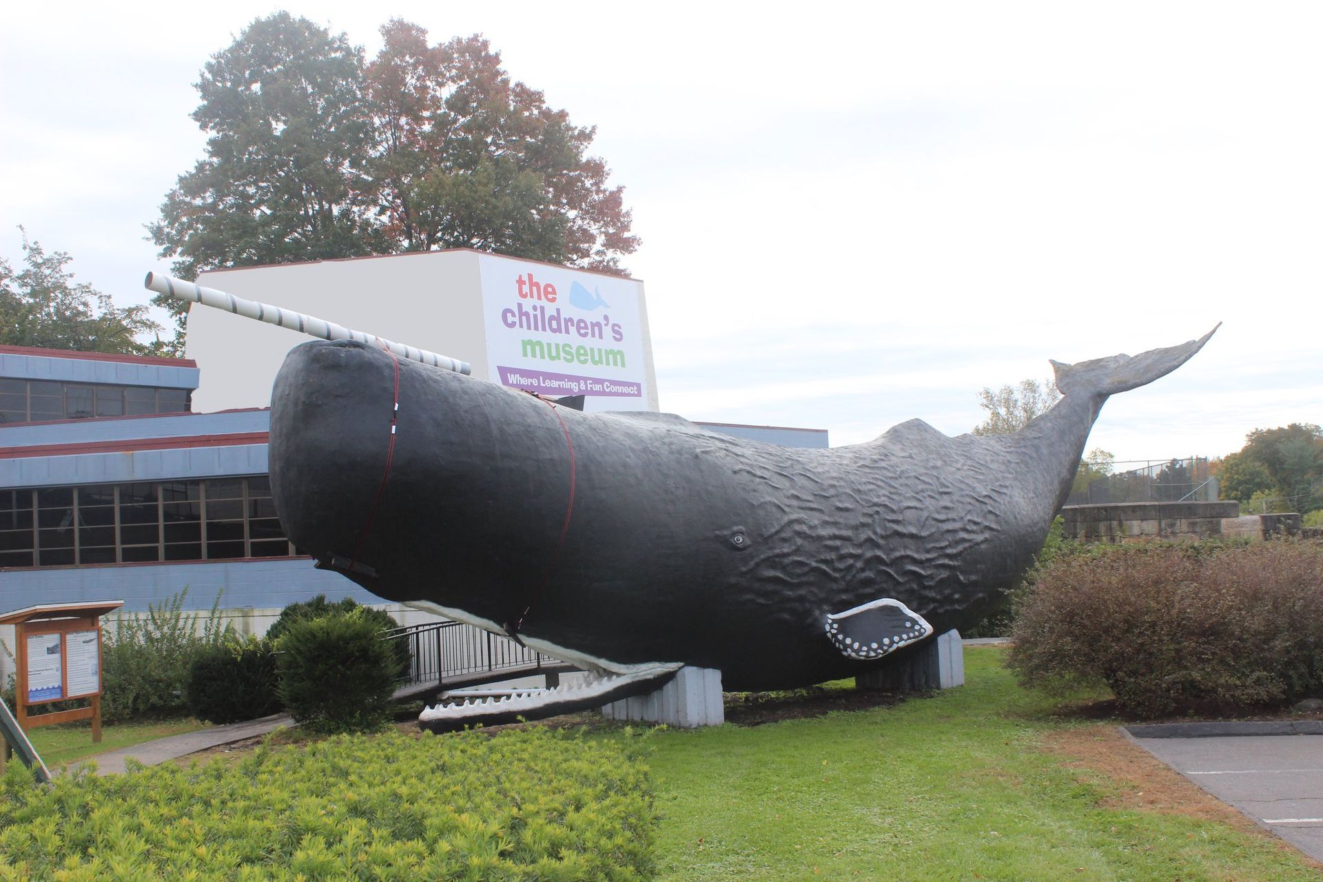 World's Biggest Sperm Whale Sculpture: world record in Hartford, Connecticut