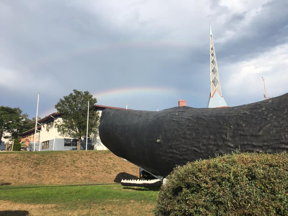 World's Biggest Sperm Whale Sculpture: world record in Hartford, Connecticut