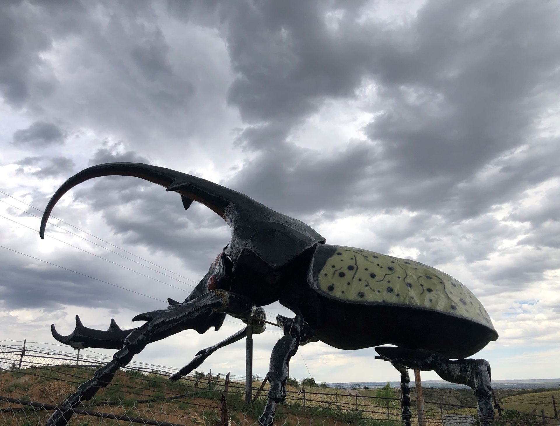 World’s Largest Beetle Statue: world record in Colorado Springs, Colorado