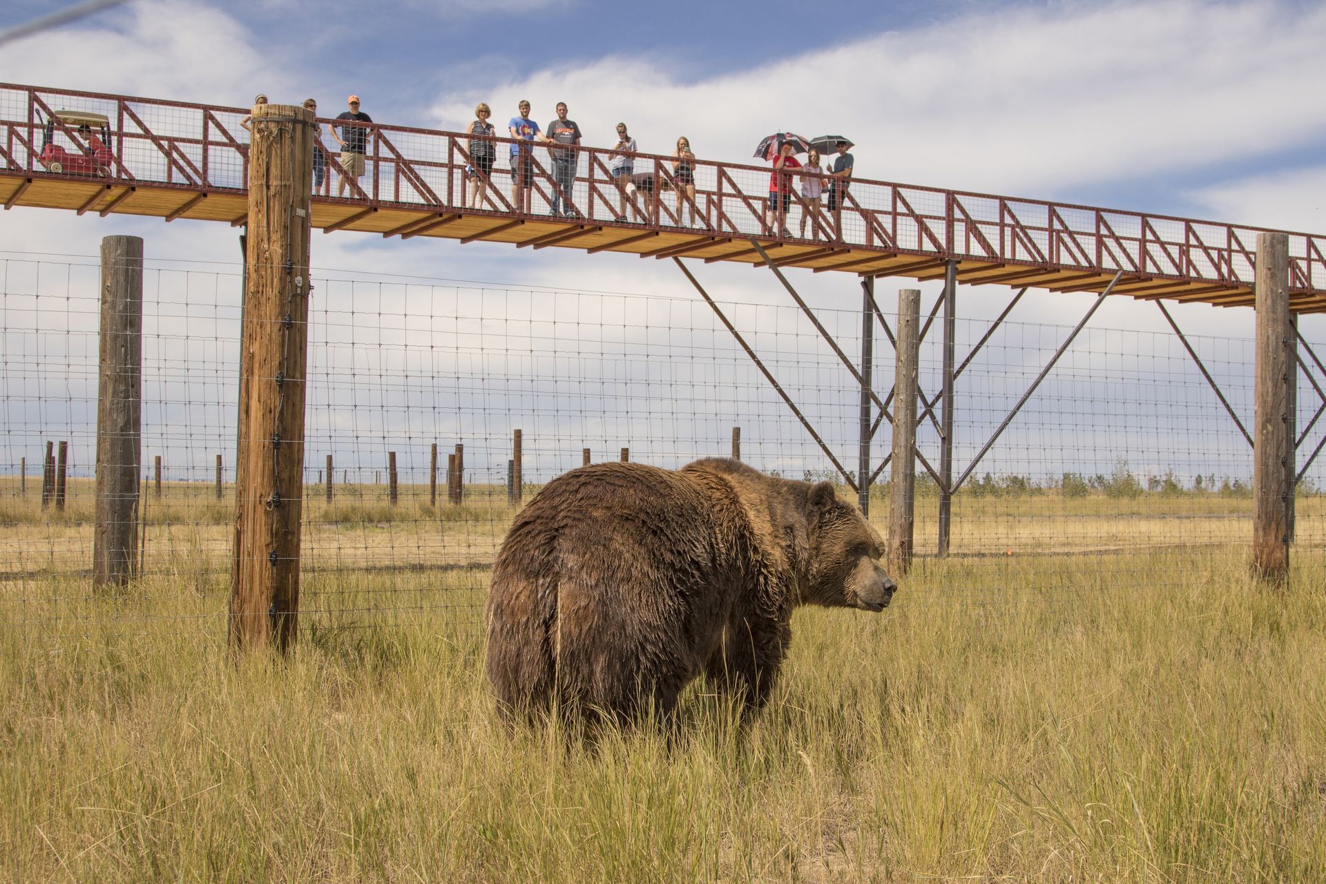 World's Largest Carnivore Sanctuary: world record in Keenesburg, Colorado