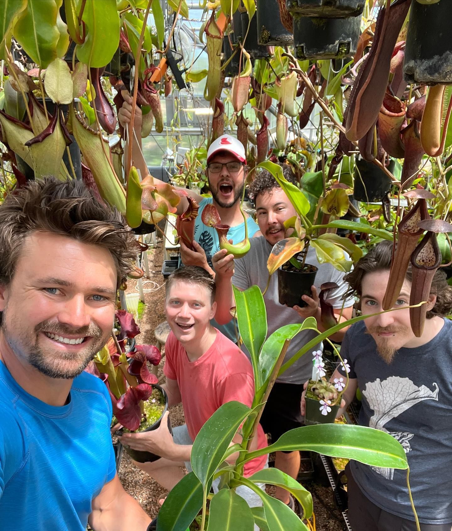 World's Largest Venus Flytrap: world record in Colorado Springs, Colorado