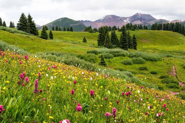 World's Largest Alpine Valley: The San Luis Valley in Colorado