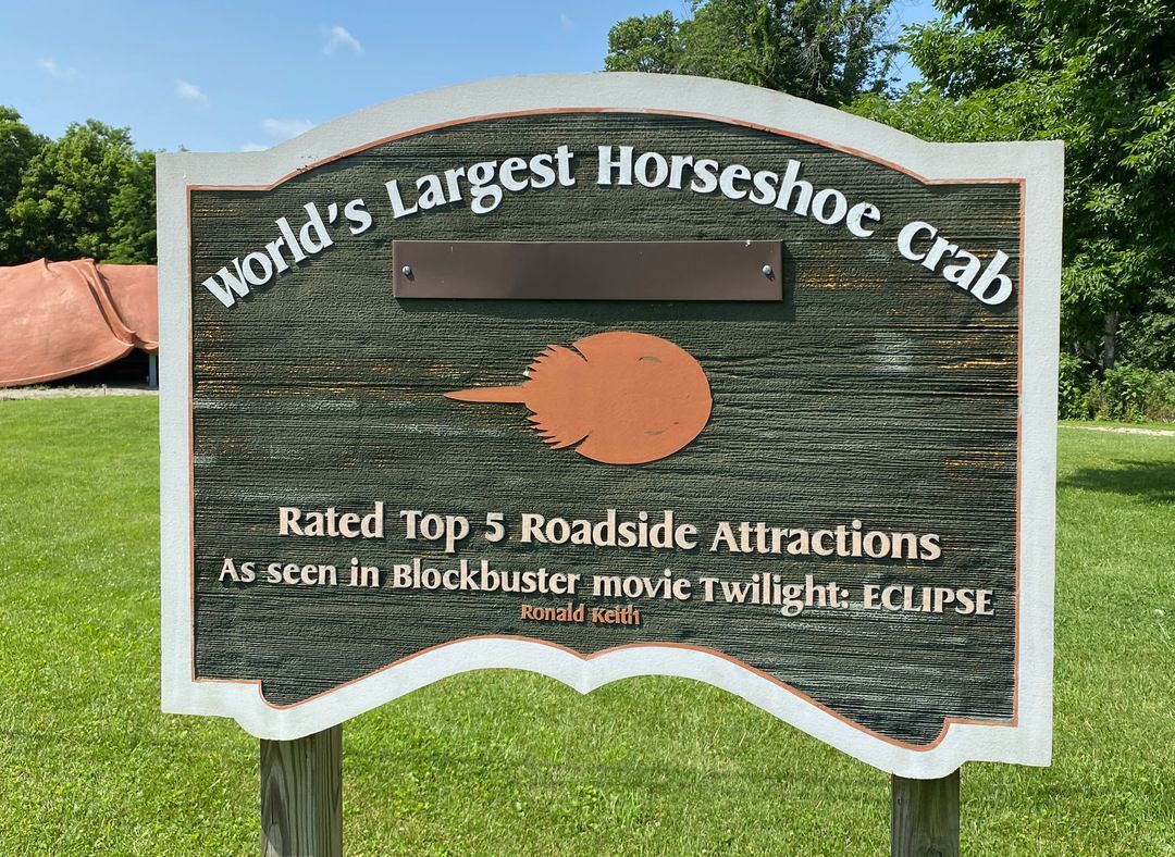 World’s Largest Horseshoe Crab Sculpture: world record in Hillsboro, Ohio