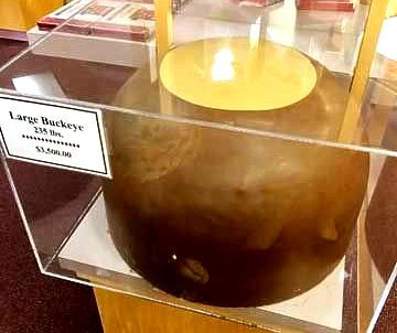 World’s Largest Buckeye Candy: world record in Columbus, Ohio