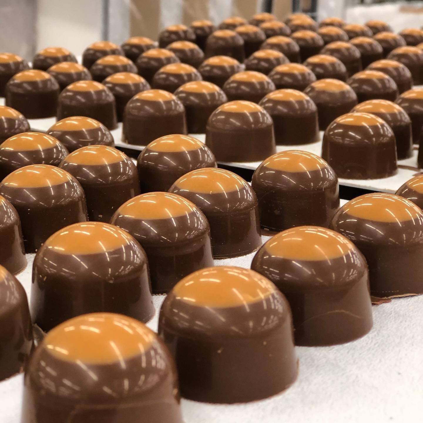 World’s Largest Buckeye Candy: world record in Columbus, Ohio