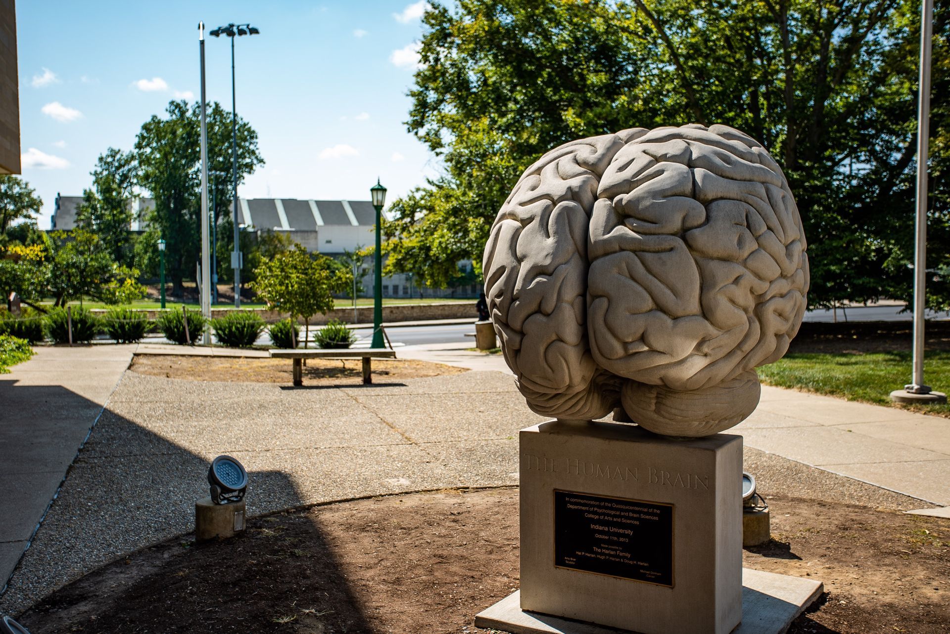 
World's largest anatomically-accurate brain sculpture: Bloomington, Indiana
