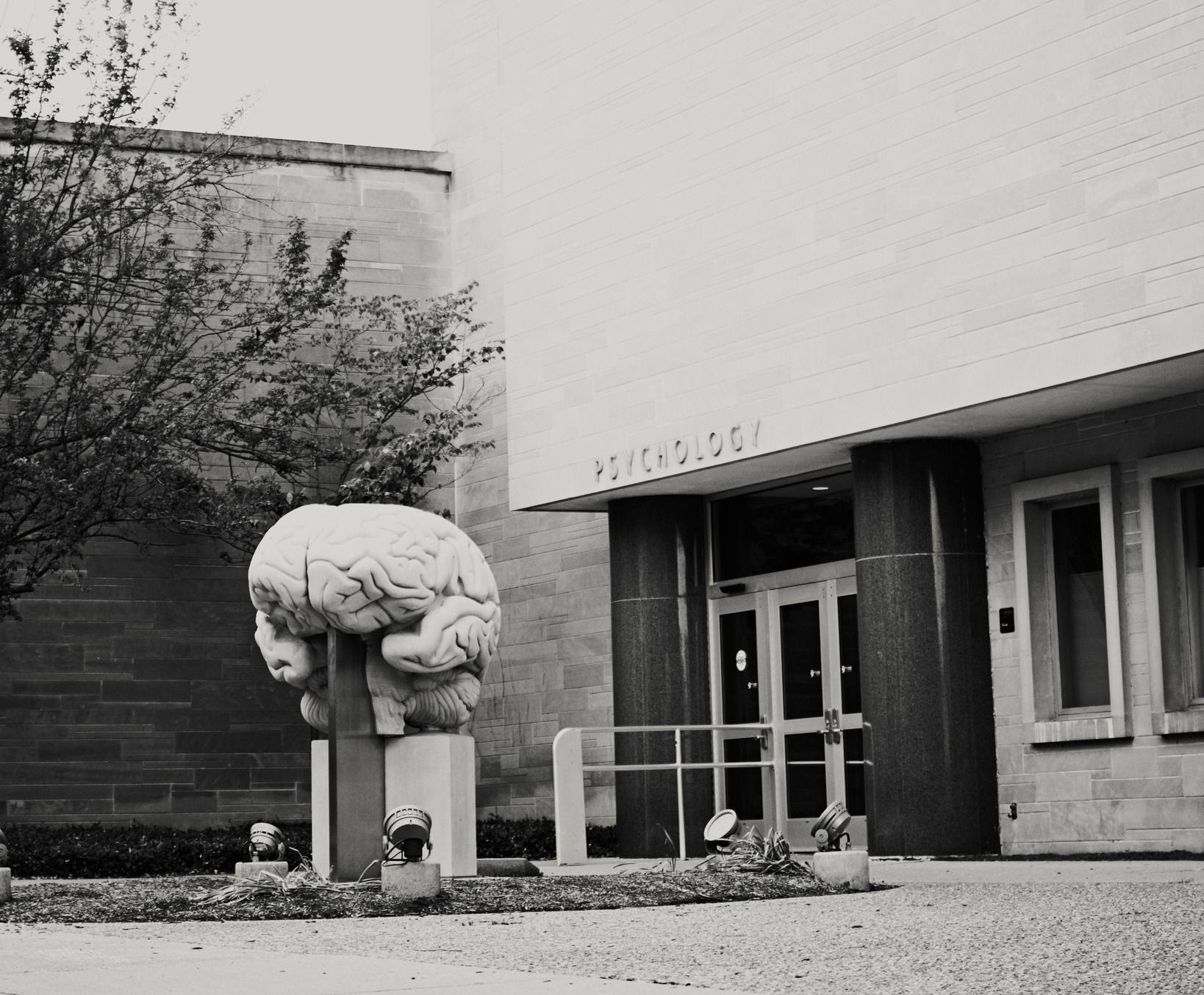 World's largest anatomically-accurate brain sculpture: Bloomington, Indiana