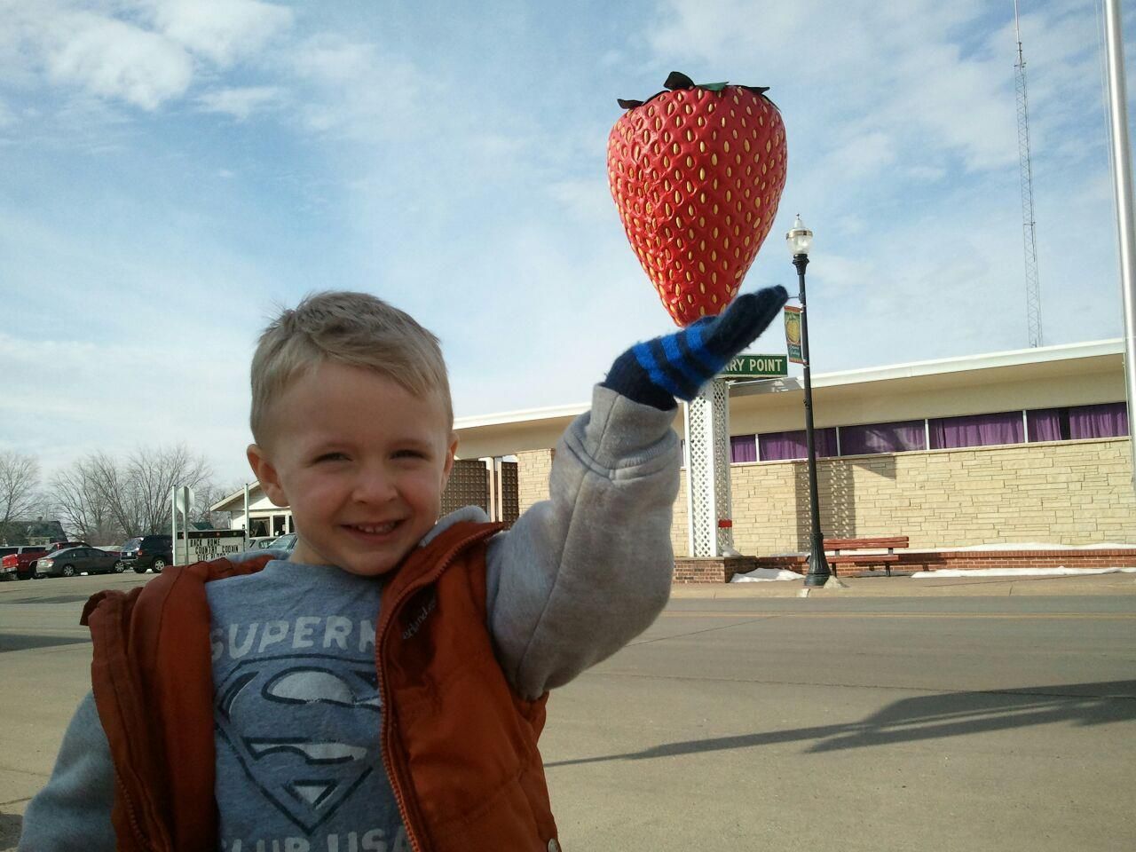 
World’s Largest Strawberry Sculpture: world record in Strawberry Point, Iowa