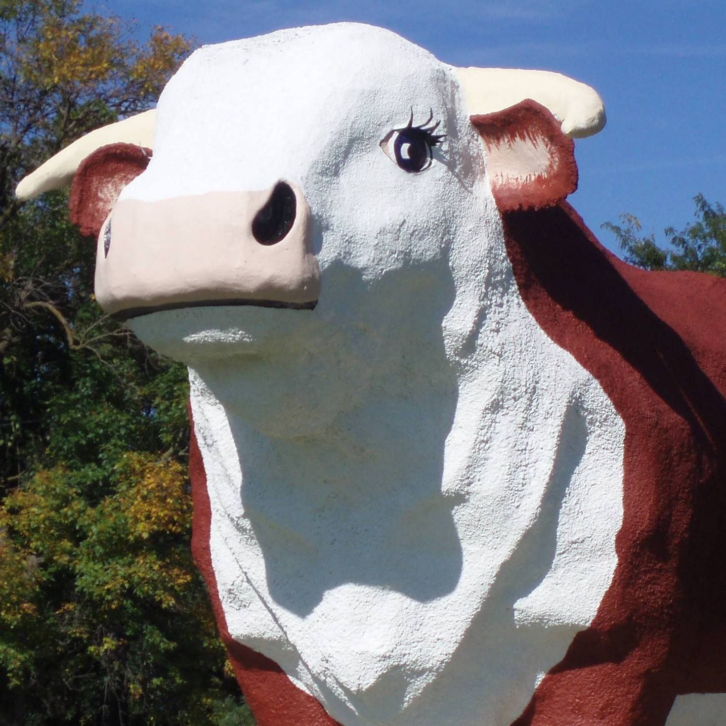 World’s Largest Bull Sculpture: world record in Audubon, Iowa