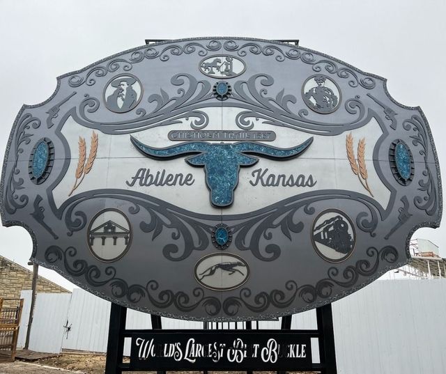 Buckle world sales
