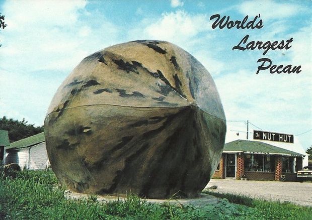 World's Largest Pecan Replica Sculpture: world record in Brunswick ...